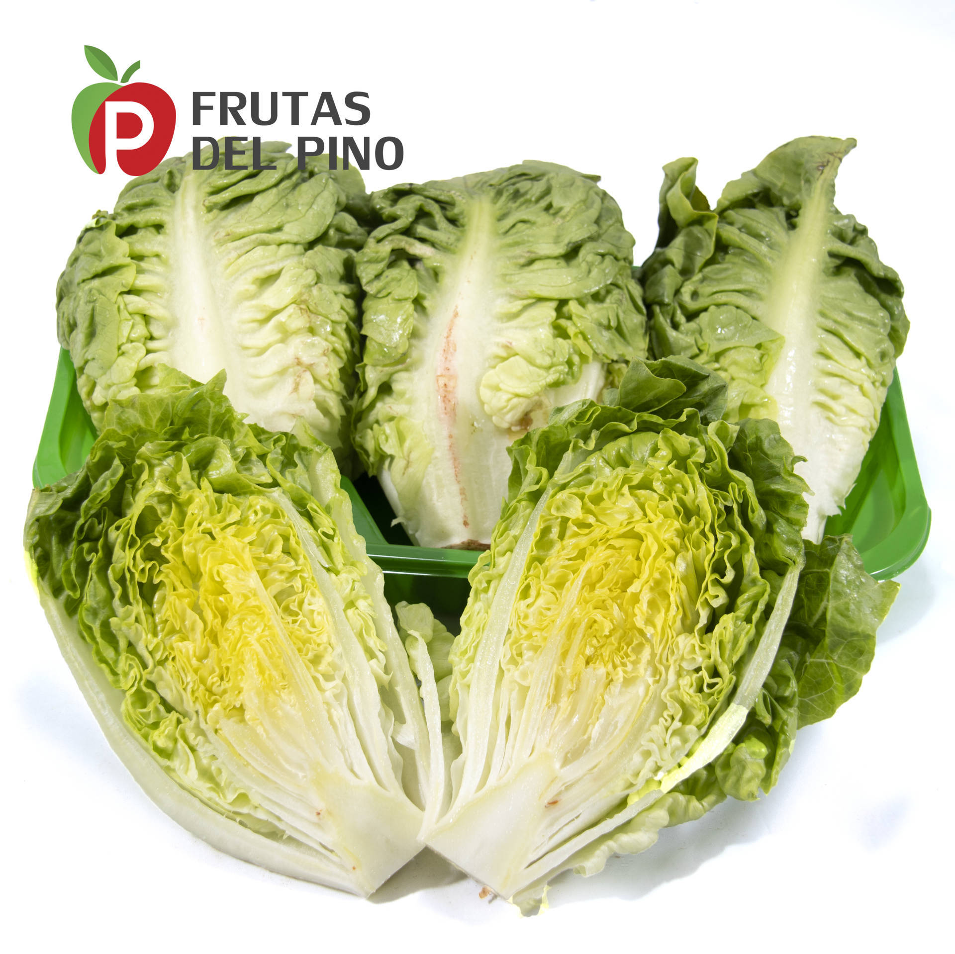 lechuga-cogollos web